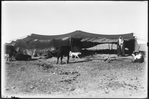 Xeic beduí davant la seva tenda, al desert del Nègueb. 1927<br><span style="font-size: small">Jeque beduino ante su tienda, en el desierto del Néguev. 1927<br>   Bedouin sheikh in front of his tent, in the Negev desert. 1927</span>